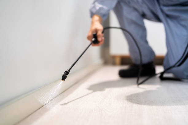 Licensed Pest Control service in Marksville, LA - Show Me Pest Control