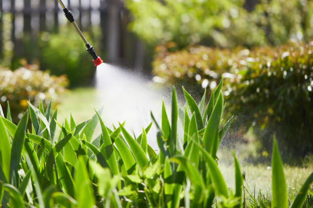 Tamper-Resistant Bait Stations for Rodents in Marksville