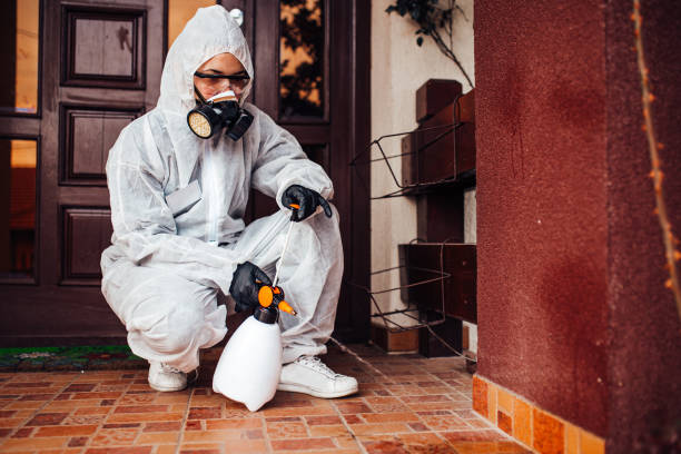 Attic and Crawl Space Rodent Treatment in Marksville
