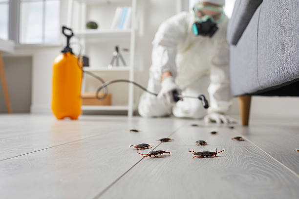 Commercial Rodent Management in Marksville